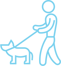 Dog Walking Service in Dallas